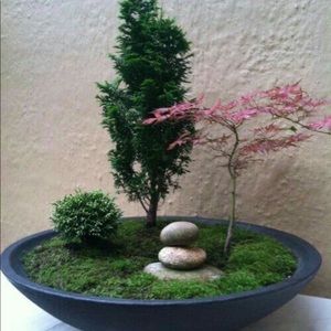 Meet your Posher, Gwen